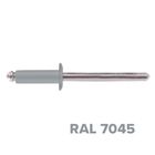 Изображение ЗАКЛЕПКА  НЕРЖАВ. 3,2Х 10 RAL 7045 (окраш.)