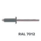 Изображение Заклепка A2/A2 3,2x10 (CHN) RAL 7012 (окраш.)